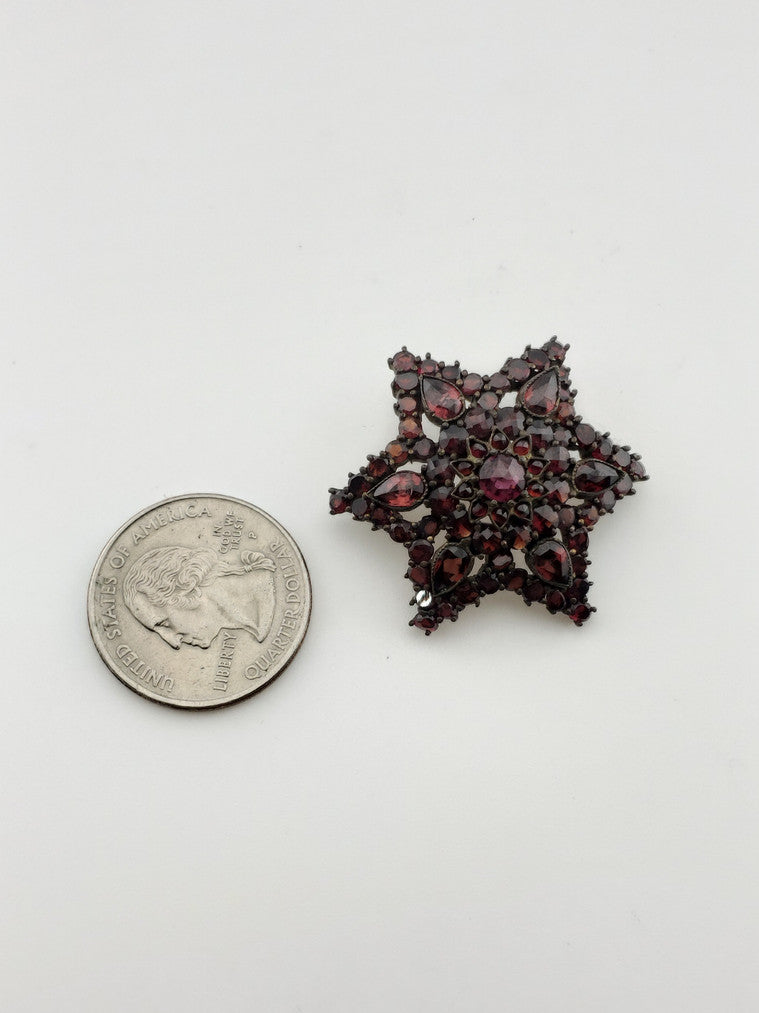 Victorian Garnet Star Brooch