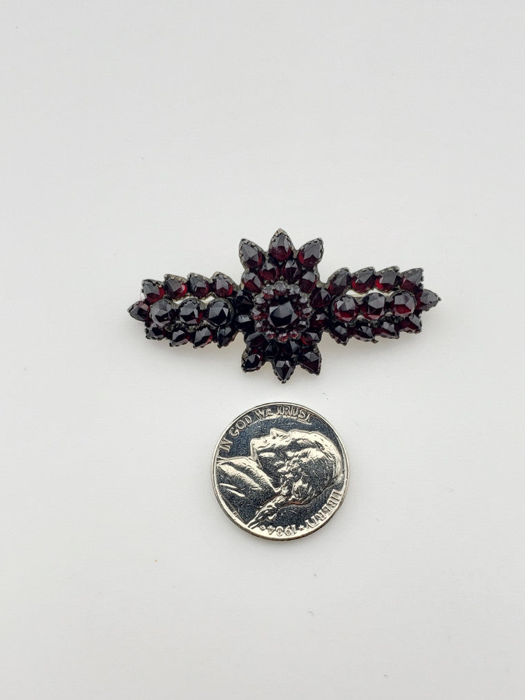 Bohemian Garnet Victorian Pin