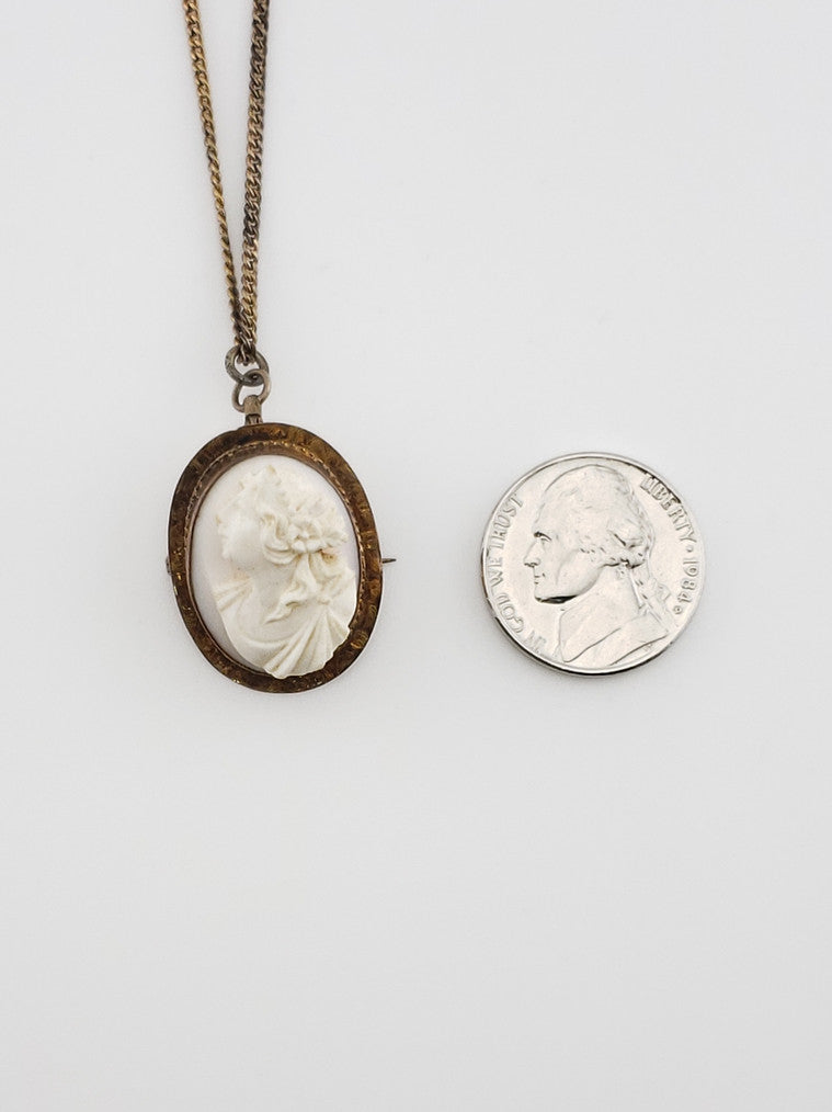 1890 Cameo Pendant Pin