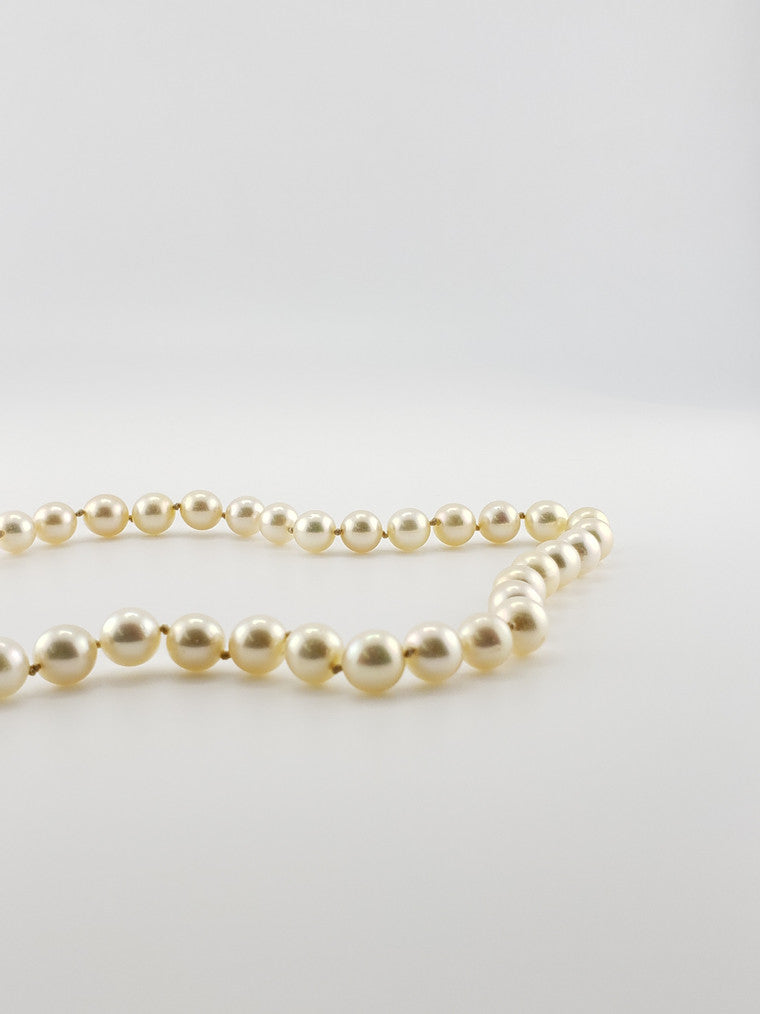 Pearl Strand #48- Saltwater Akoya