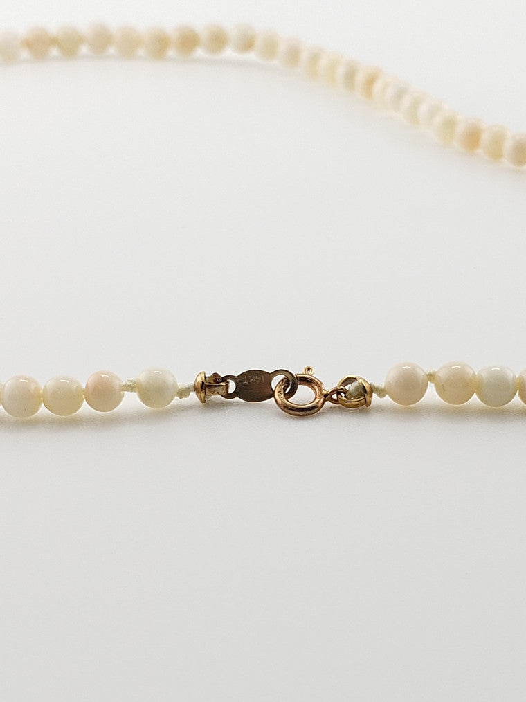 White Coral Strand