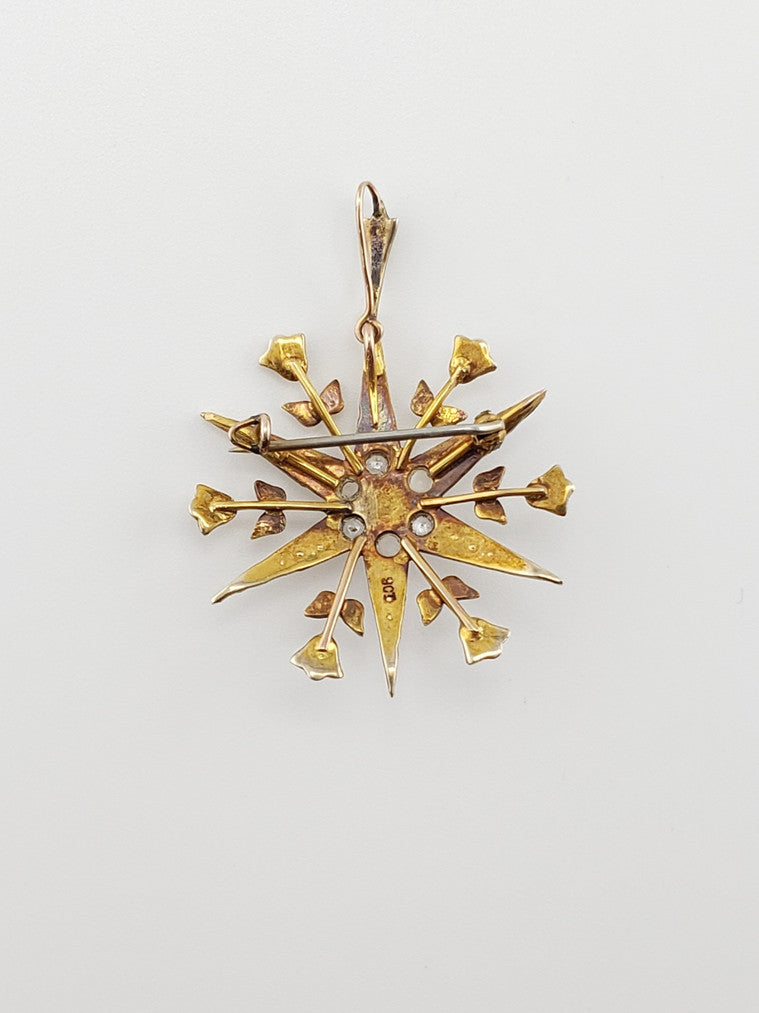 Pearl Star Pin/Pendant