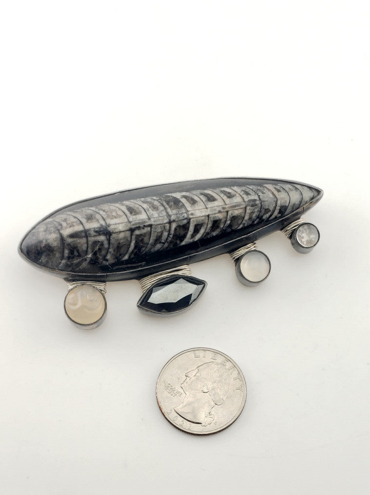 Orthoceras Fossil Hematite + Moonstone Brooch