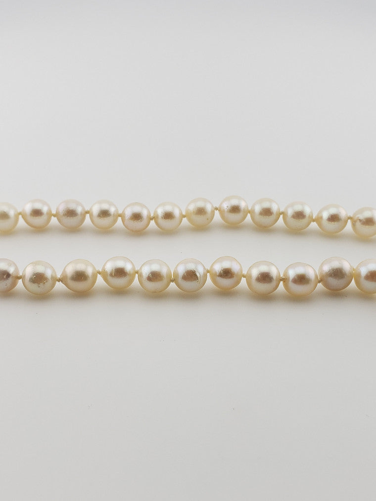 Pearl Strand #63- Saltwater