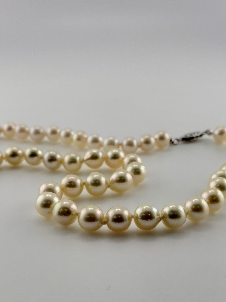 Pearl Strand #9 - Saltwater