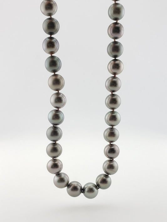 Pearl Strand #62- Gray South Sea