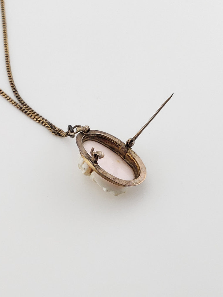 1890 Cameo Pendant Pin