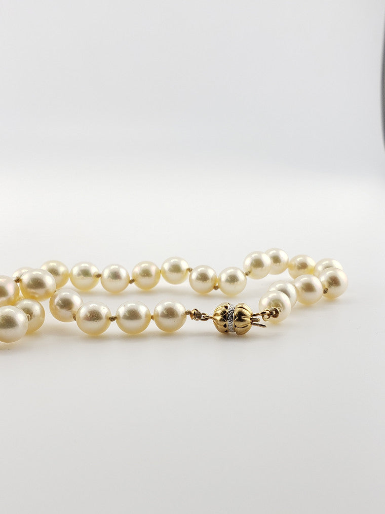 Pearl Strand #48- Saltwater Akoya