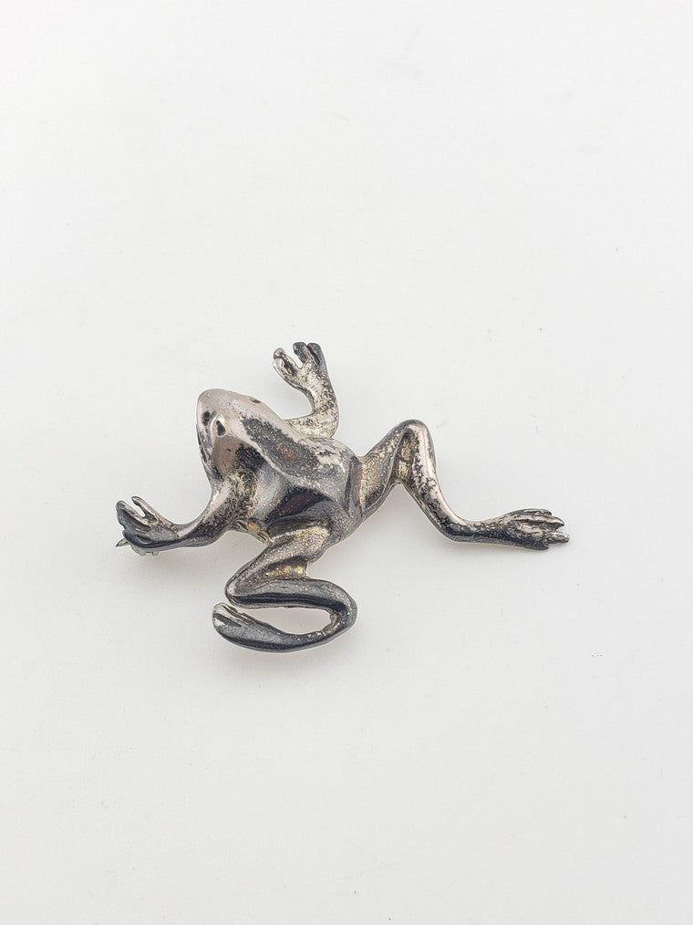 SS "The Money Catcher" Frog