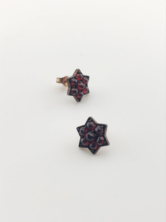 Antique Garnet Star Earrings