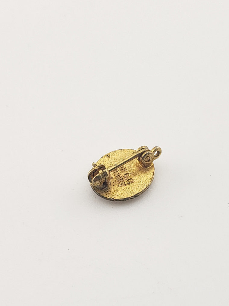 GF University of Houston Pin