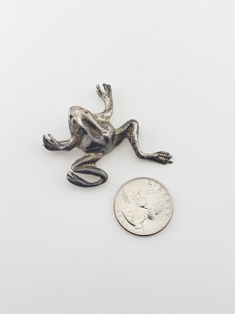SS "The Money Catcher" Frog