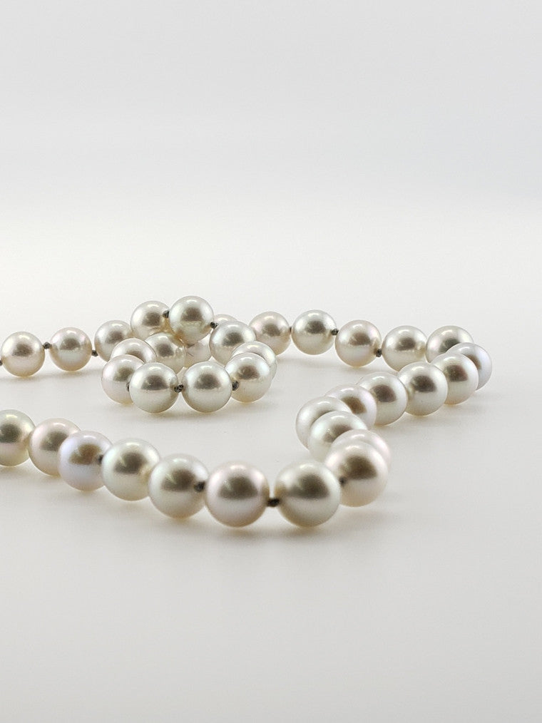Pearl Strand #30