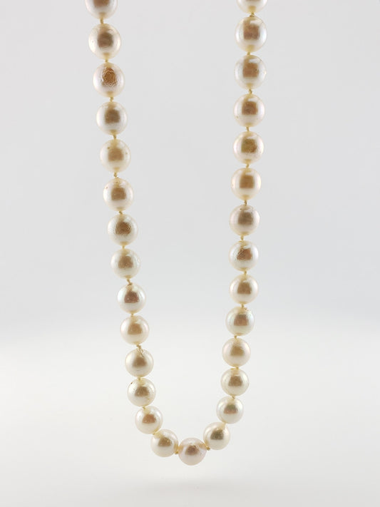 Pearl Strand #63- Saltwater