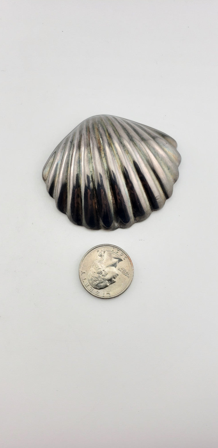 SS Shell Pendant