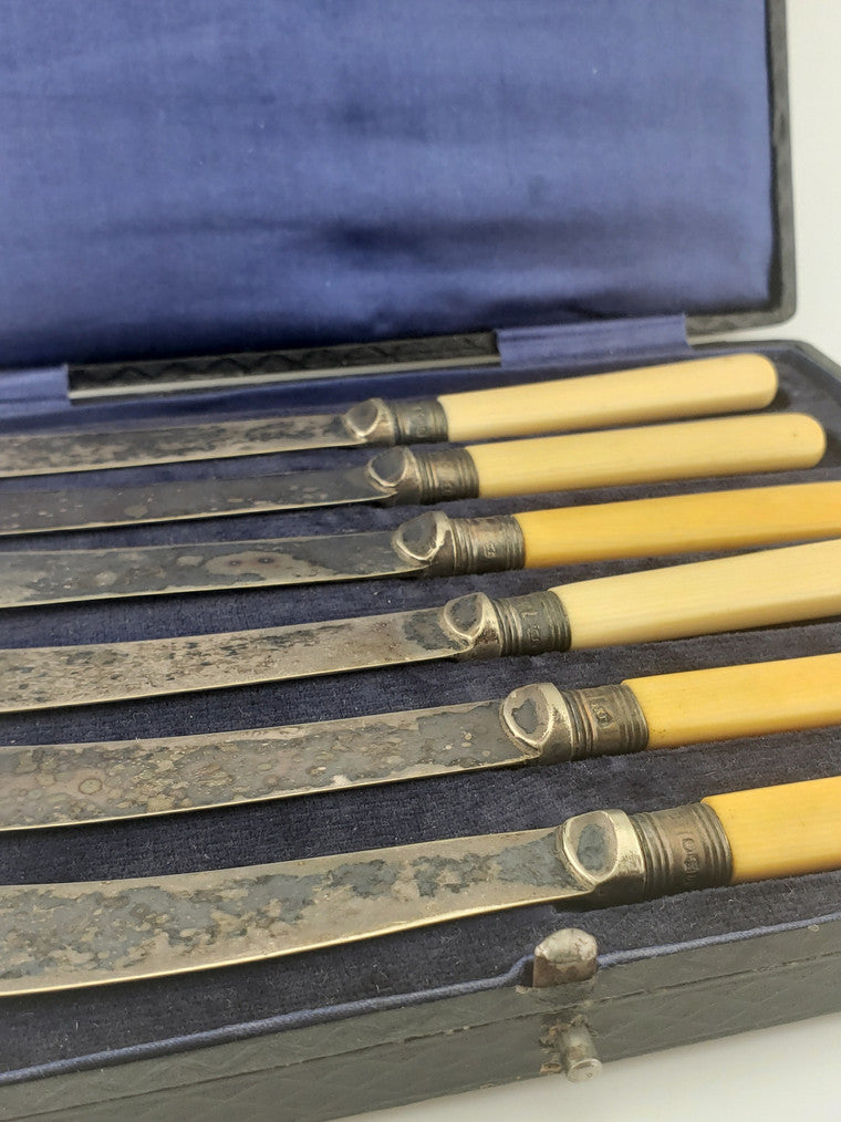 Sterling Bone Knife Set
